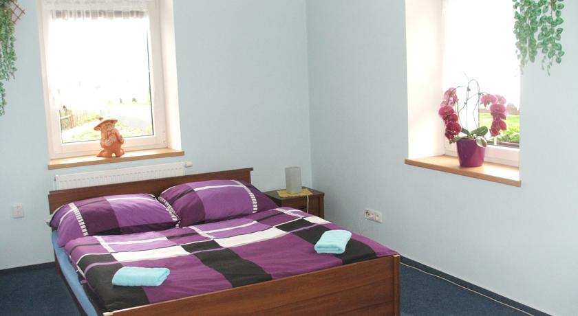Ala Ubytovani Josefuv Dul Room photo