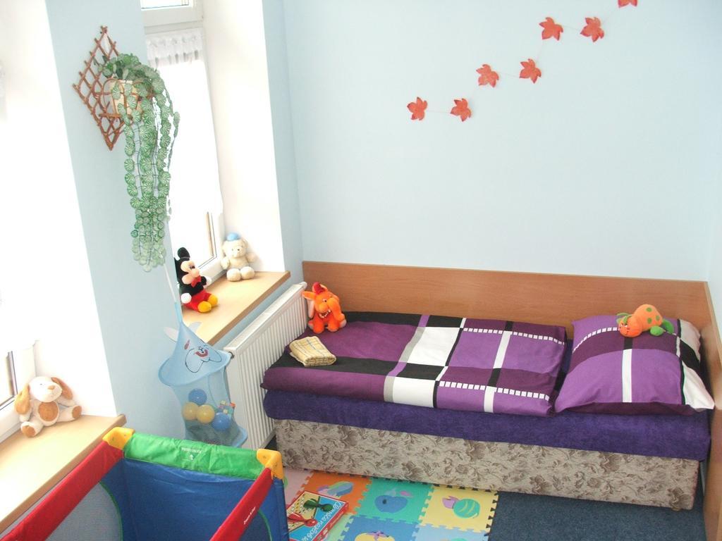 Ala Ubytovani Josefuv Dul Room photo